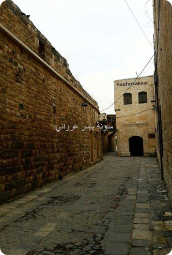 باب قصر العظم حماة